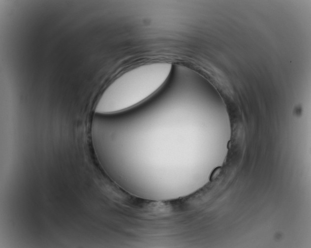 X0000103270421200808291111
