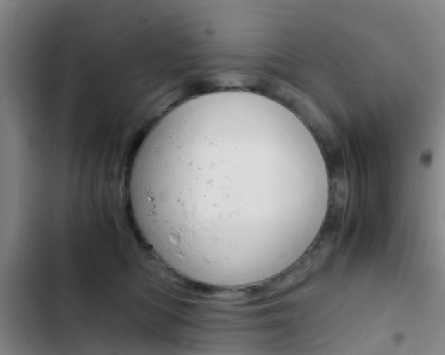 X0000103270422200808291111