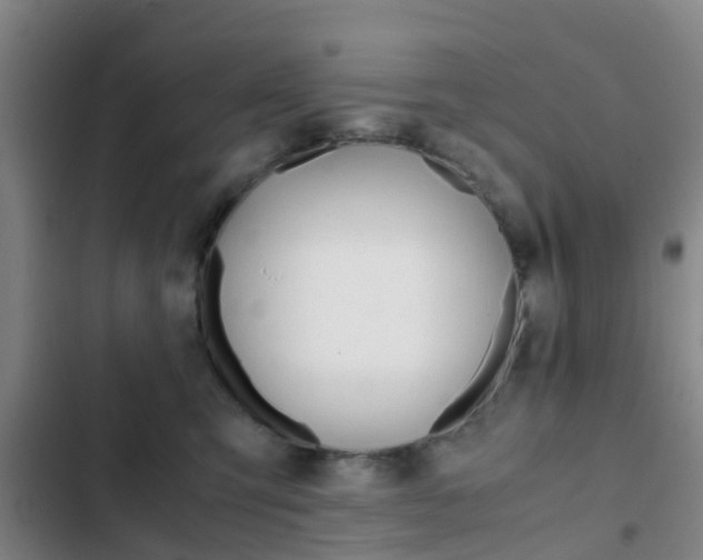 X0000103270423200808291111