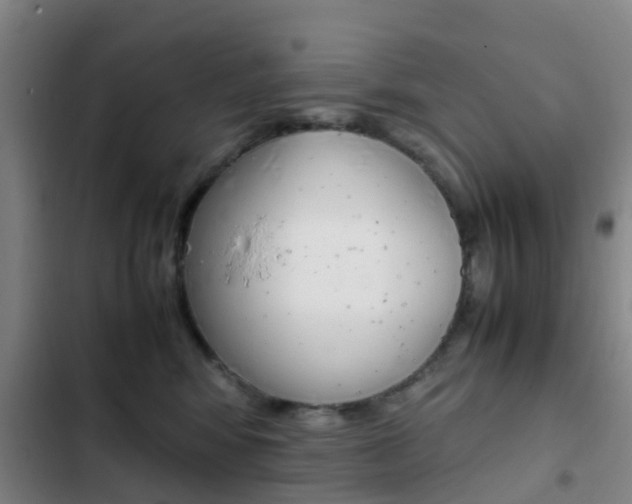 X0000103270424200808291111