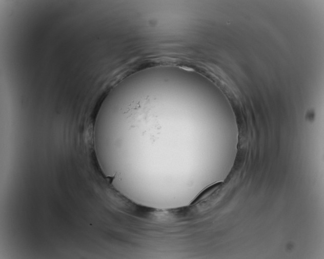 X0000103270425200808291111