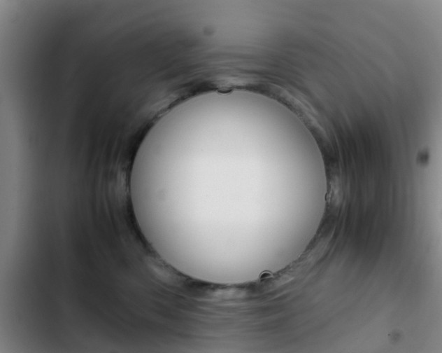 X0000103270426200808291111
