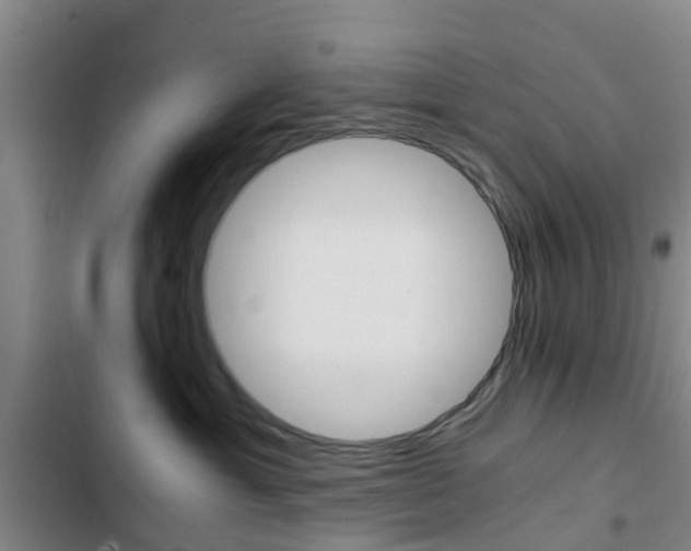 X0000103270429200808291111
