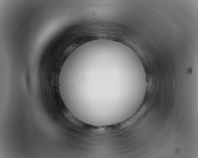 X0000103270430200808291111