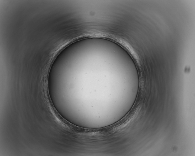 X0000103270433200808291110