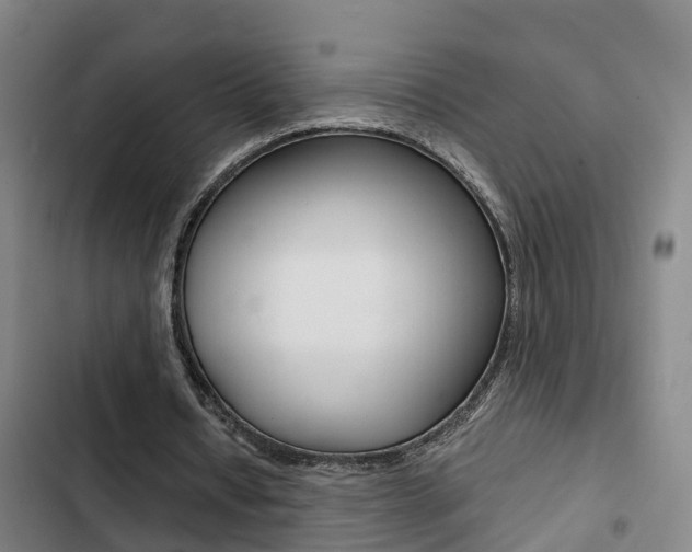 X0000103270434200808291110