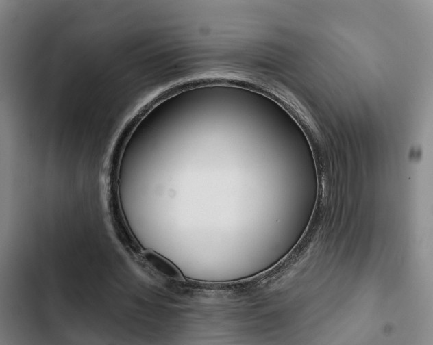 X0000103270436200808291110