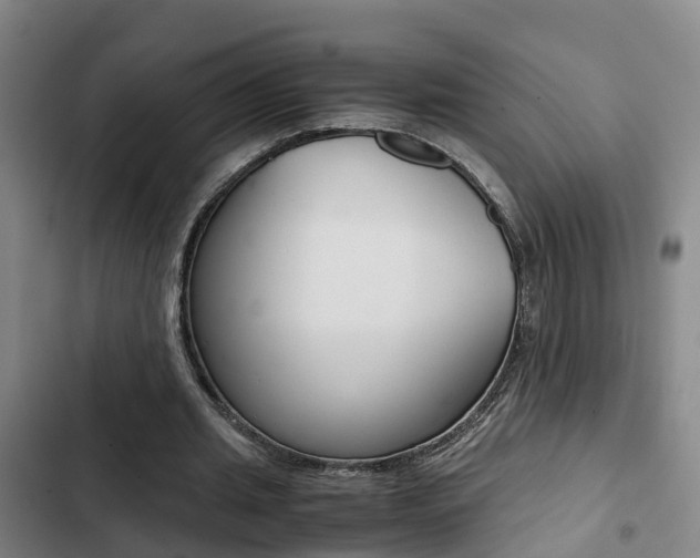 X0000103270437200808291110