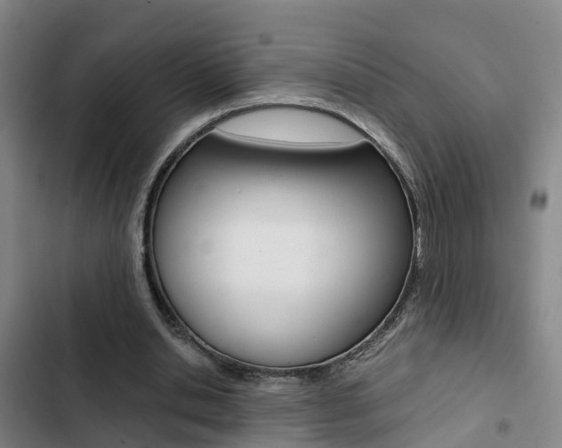 X0000103270438200808291111