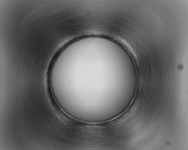 X0000103270439200808291111