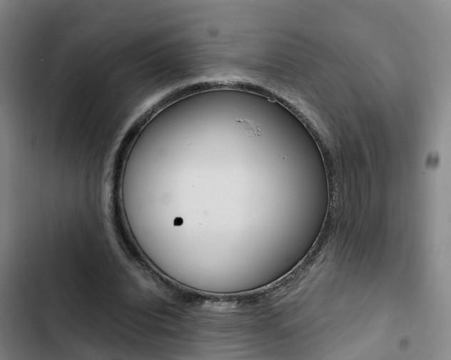 X0000103270440200808291111