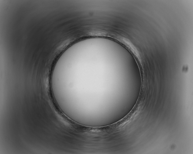 X0000103270441200808291111