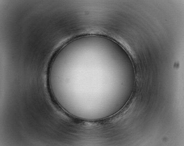 X0000103270442200808291111