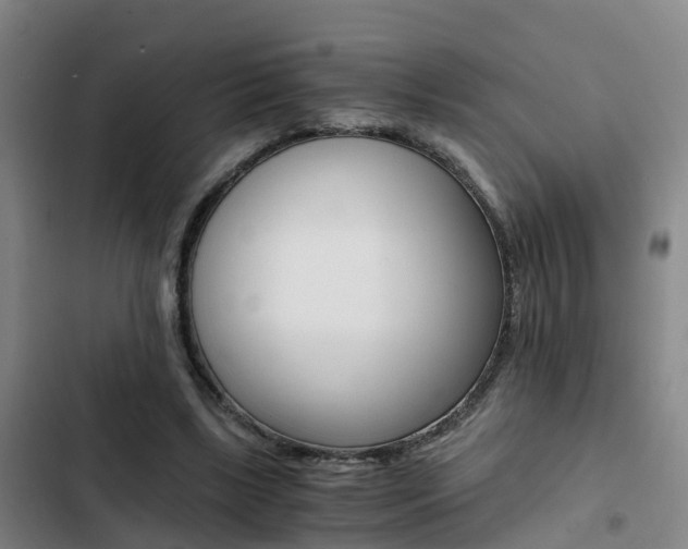 X0000103270443200808291111