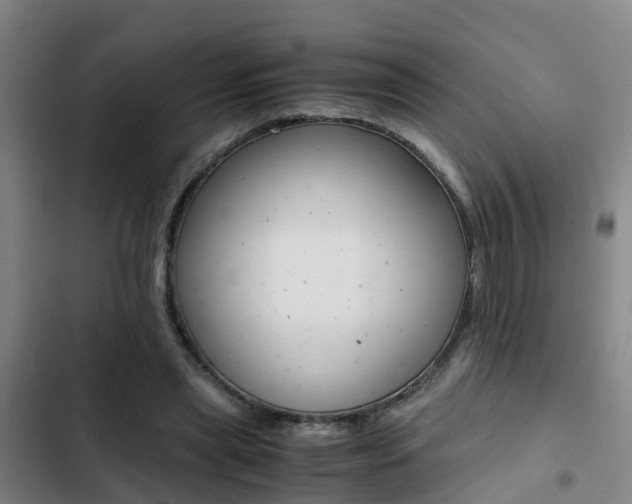 X0000103270445200808291111