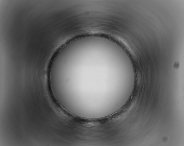 X0000103270447200808291111