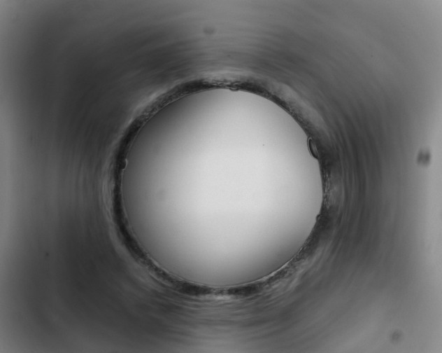 X0000103270448200808291111