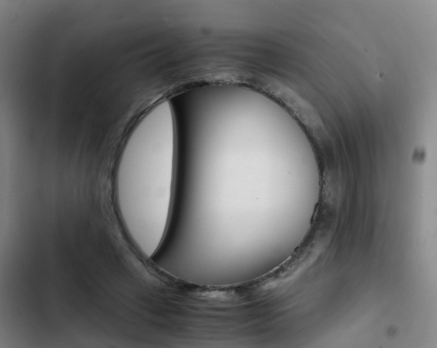 X0000103270449200808291111