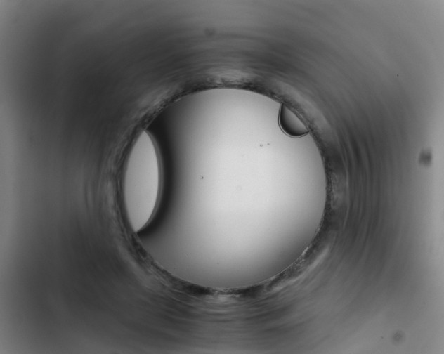 X0000103270451200808291111