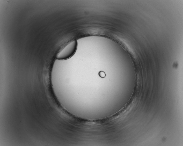 X0000103270453200808291111