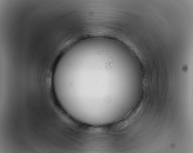 X0000103270454200808291111