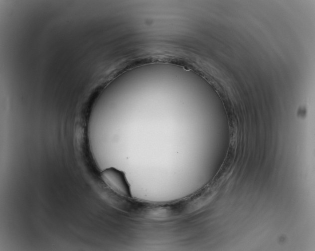 X0000103270456200808291111