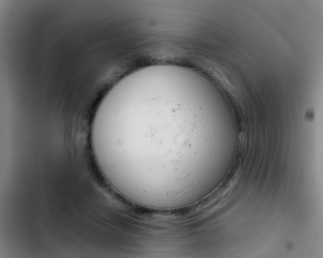 X0000103270458200808291111