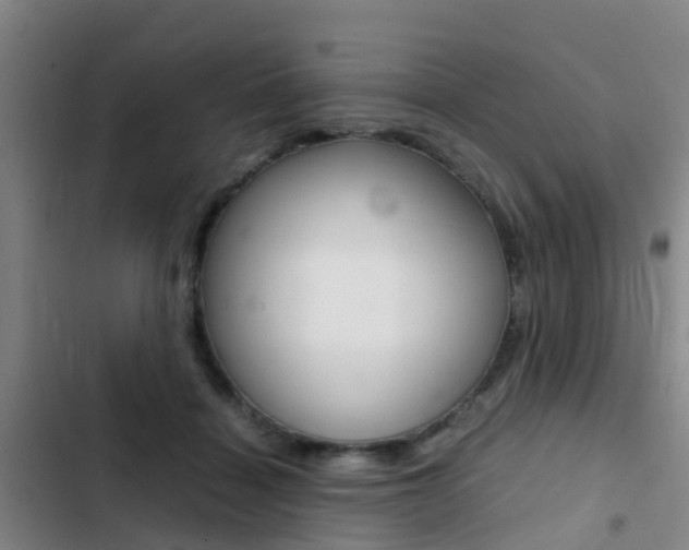 X0000103270460200808291111