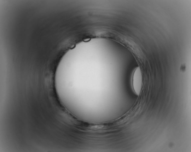 X0000103270461200808291111