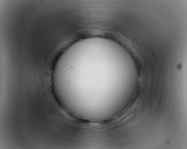 X0000103270462200808291111