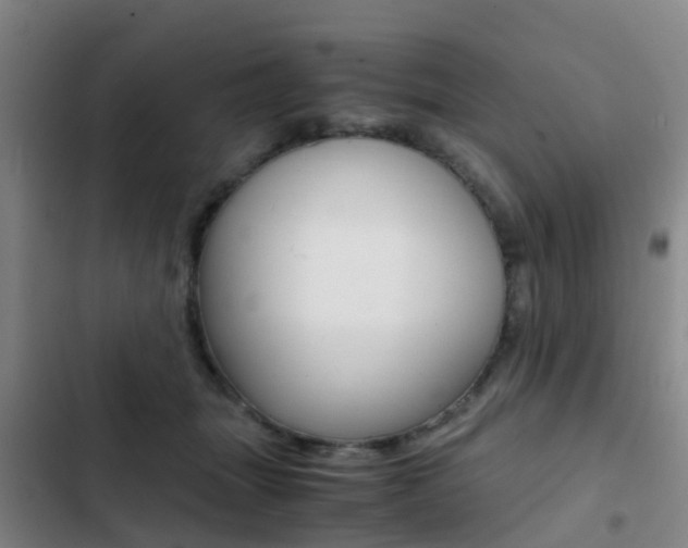 X0000103270463200808291111