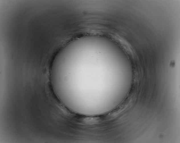 X0000103270465200808291111