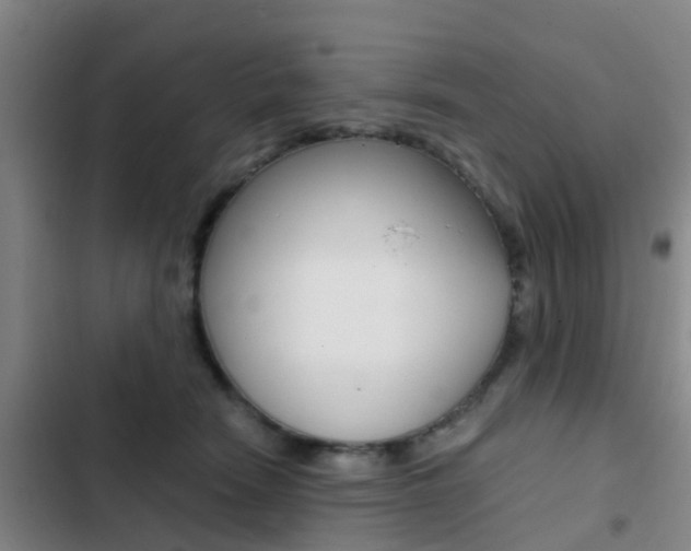 X0000103270466200808291111