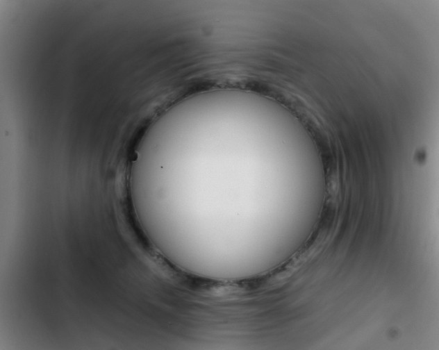 X0000103270468200808291111