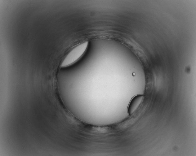 X0000103270469200808291111