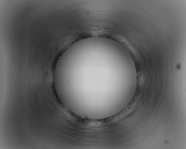 X0000103270471200808291111