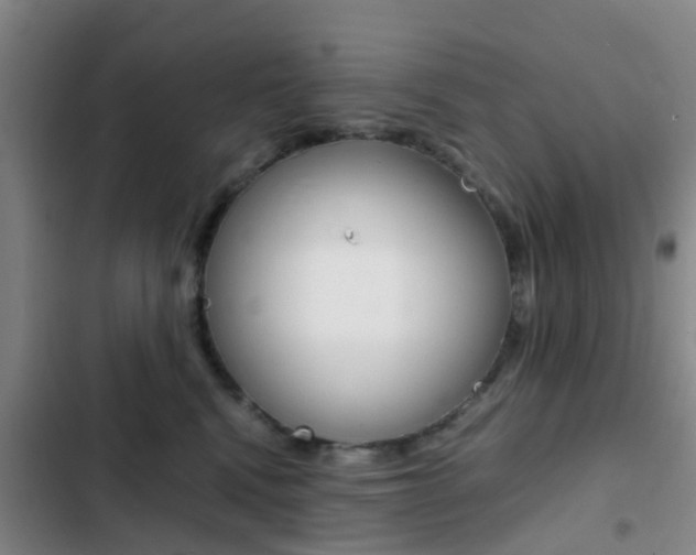 X0000103270472200808291111