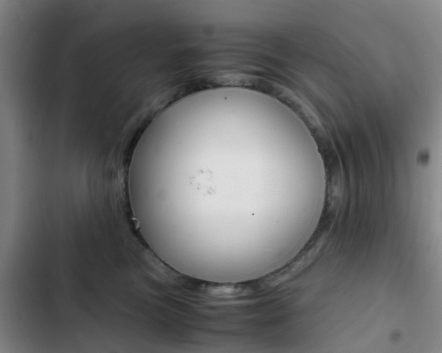 X0000103270473200808291111