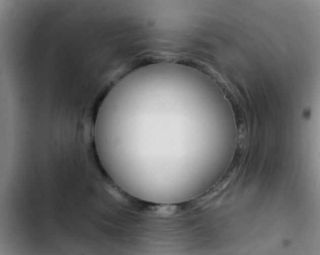 X0000103270474200808291111