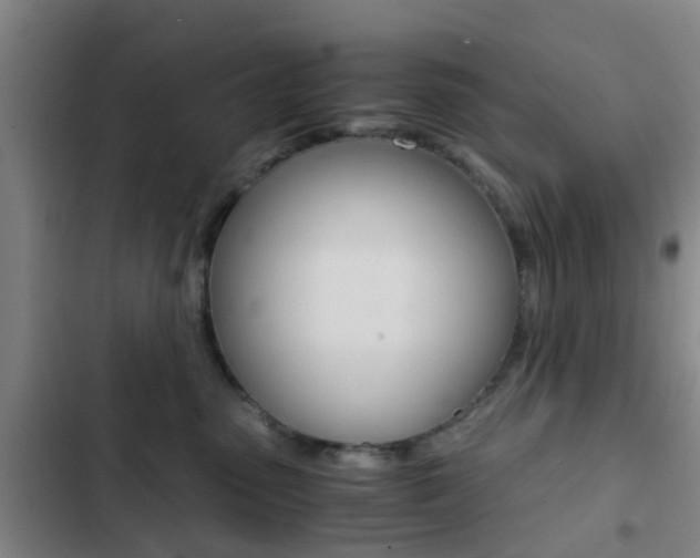 X0000103270475200808291111
