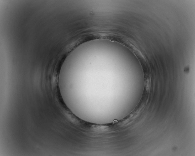 X0000103270476200808291111