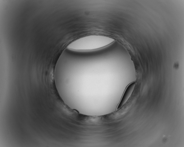 X0000103270479200808291111