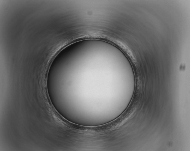 X0000103270481200808291110