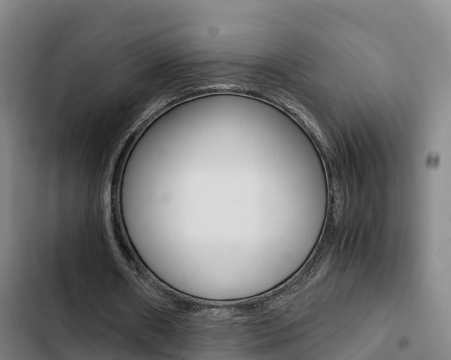 X0000103270482200808291110