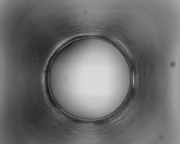 X0000103270483200808291110