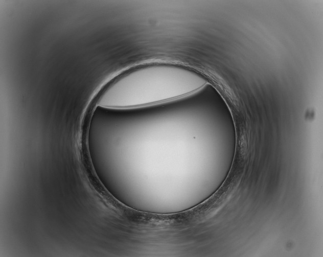 X0000103270484200808291110