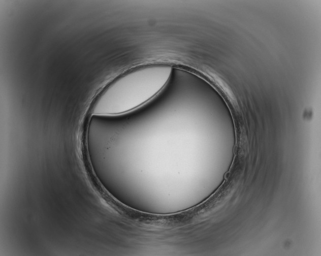 X0000103270485200808291110