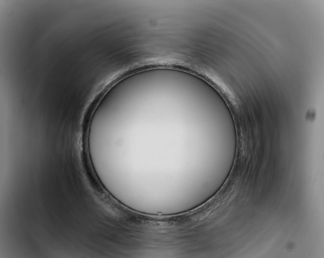 X0000103270486200808291110