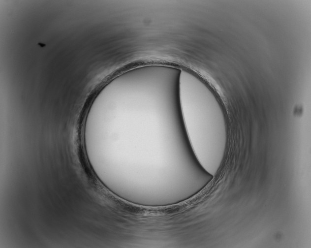 X0000103270487200808291110