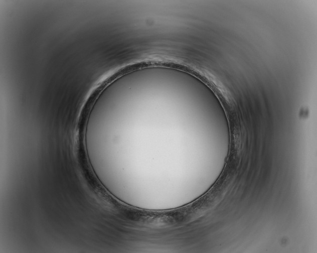 X0000103270488200808291110